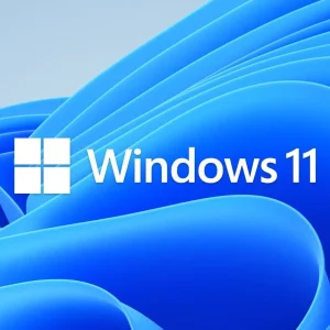 Microsoft Windows 11